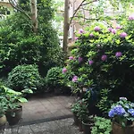 Studio Garden View