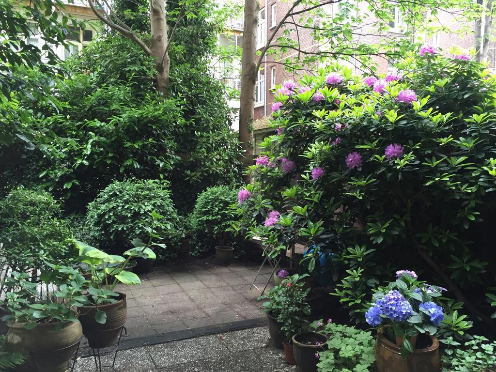 Studio Garden View Bed & Breakfast